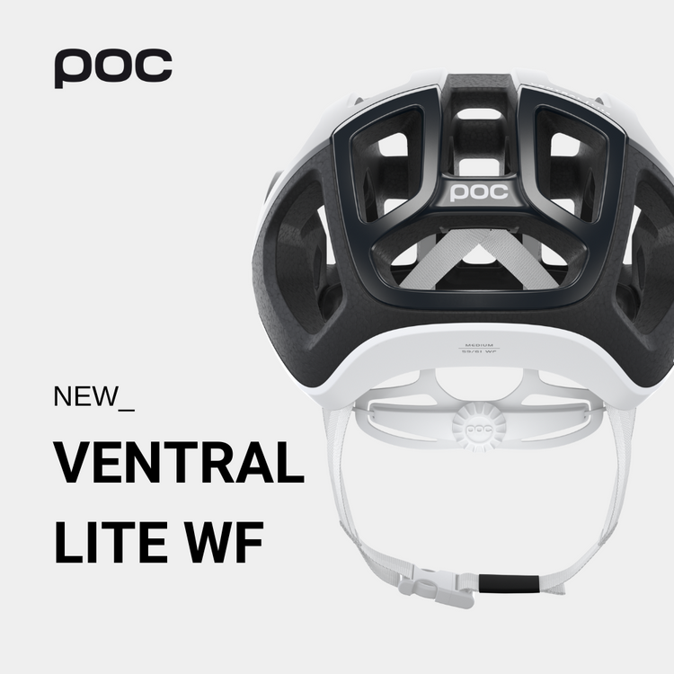 Ventral Lite WF